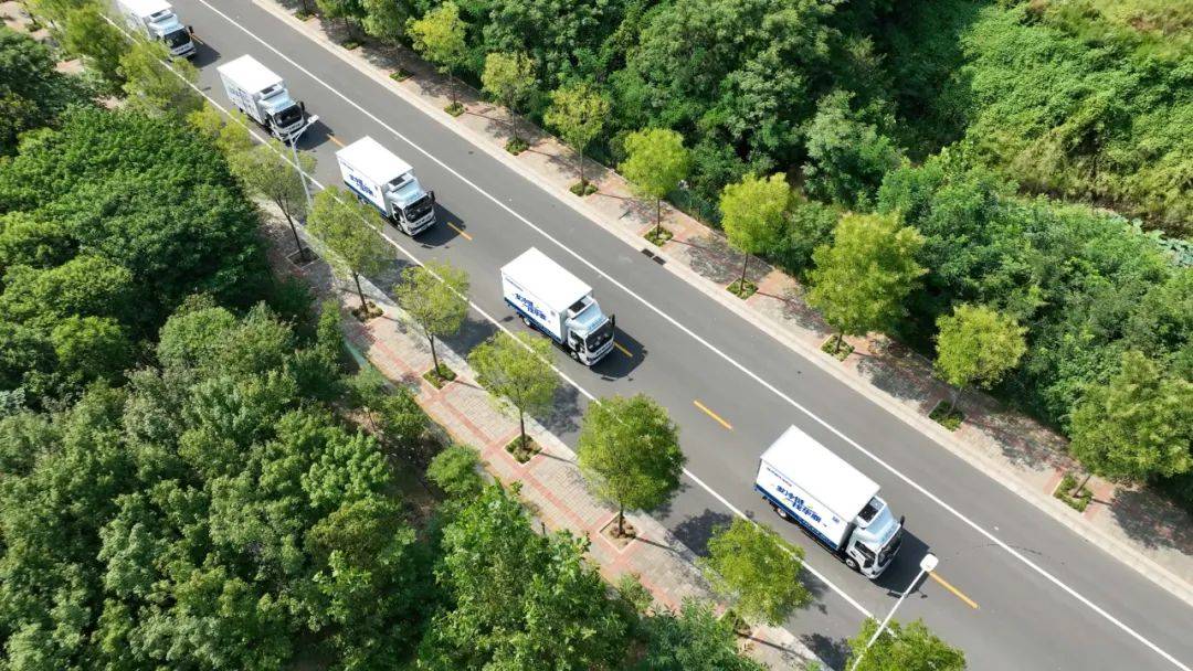 山东冷链物流行业的领军企业 道路货物运输的卓越实践